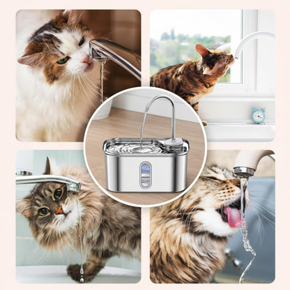 Stainless Steel Cat Water Fountain – 2.6L Capacity with Dual Filtration, Ultra Quiet Pump & Visible Water Level for Pets and Small Animals
