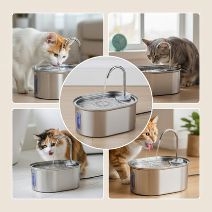 Stainless Steel Cat Water Fountain – 3L Dual Filtration & Ultra-Quiet Pump